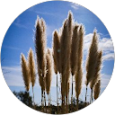 Sophie Gouiran profile picture